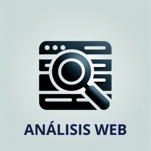 analisis web
